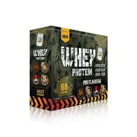 WHEY PROTEIN 2380 GR. 68 TEKLİ SERVİS 4 AROMA